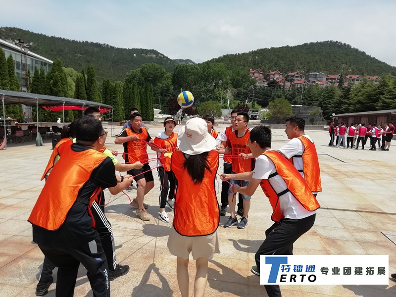 青岛公司团建好去处：特镭通拓展训练公司，打造专属团队体验！