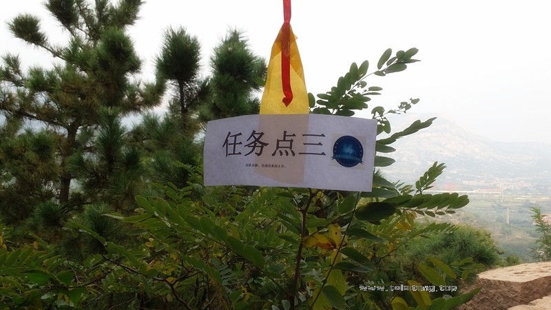 推荐一家好的团建场地？青岛拓展公司为您解锁完美团建体验！